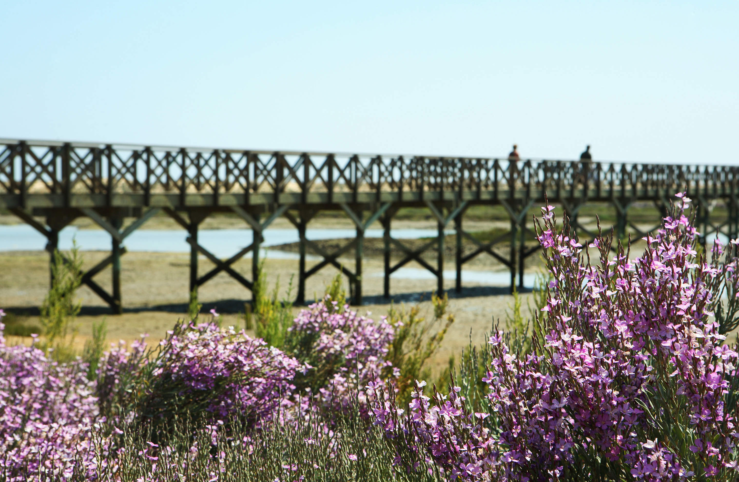 Four Seasons Country Club 1 bed Sunday Arrival, 1 bedroom apartment in Four Seasons Country Club, Algarve