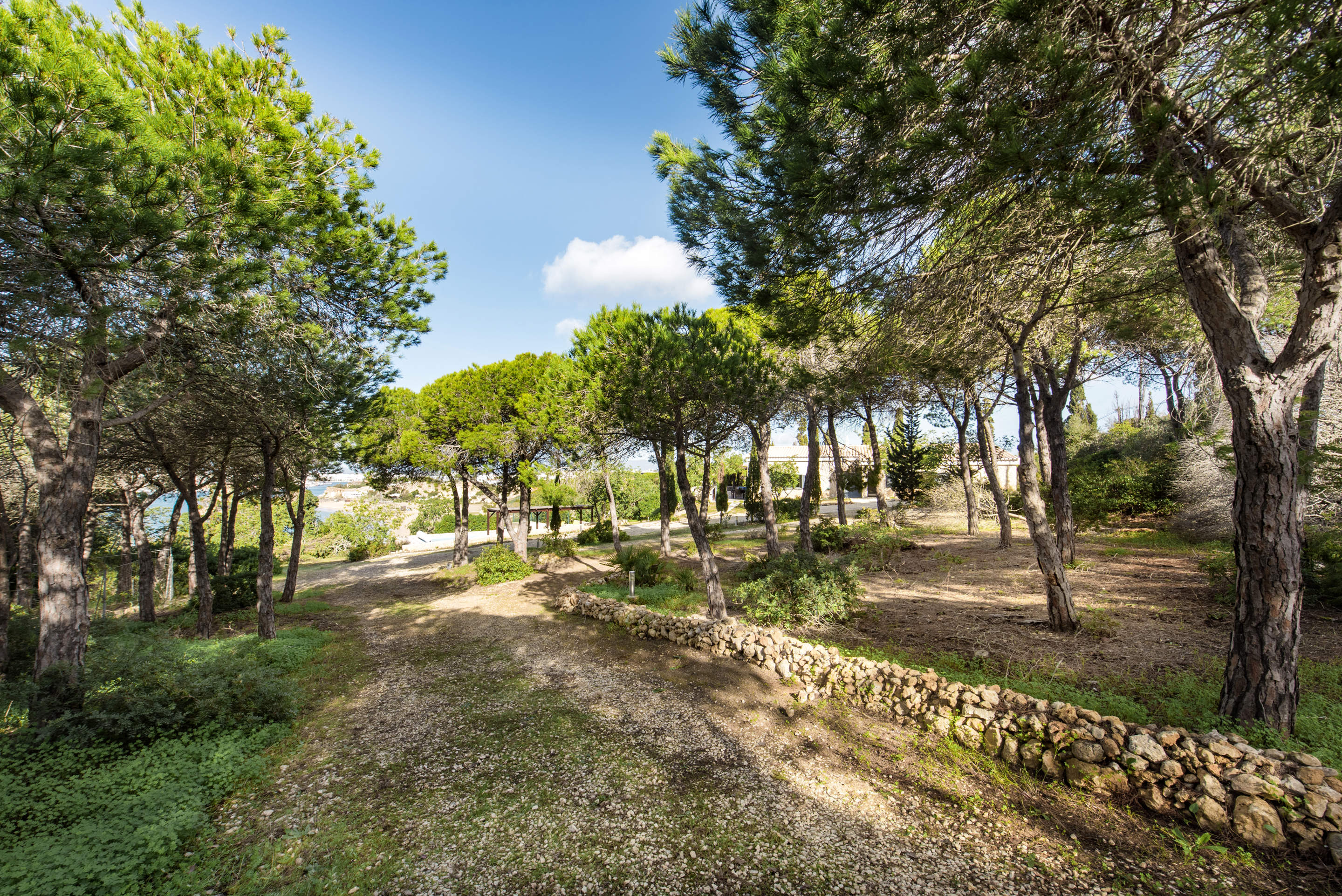 Casa Colmo, 3 bedroom villa in Carvoeiro Area, Algarve