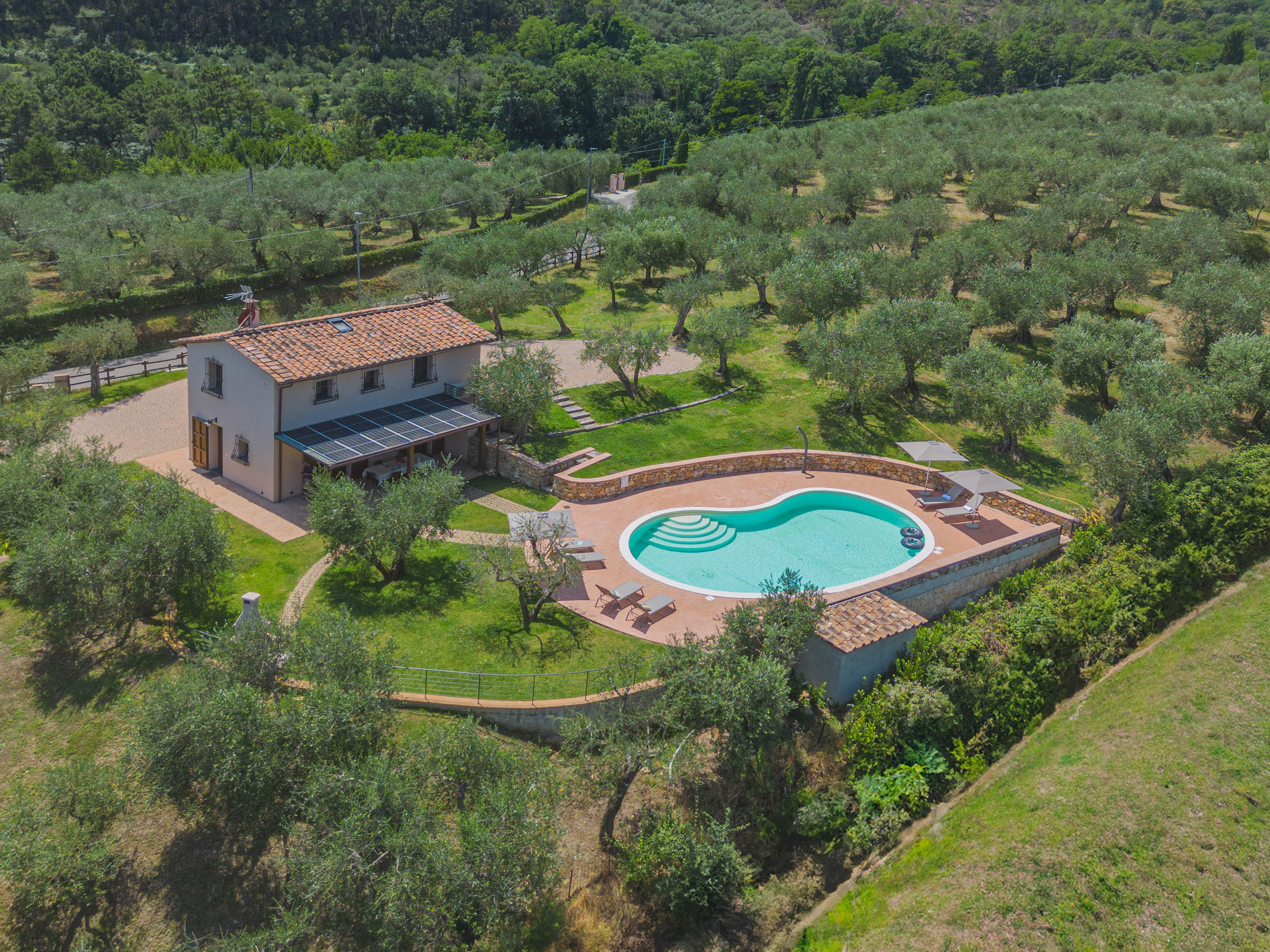 Casa degli Olivi di Dante, 2 bedroom villa in North Tuscany - Pisa & Lucca Area, Tuscany