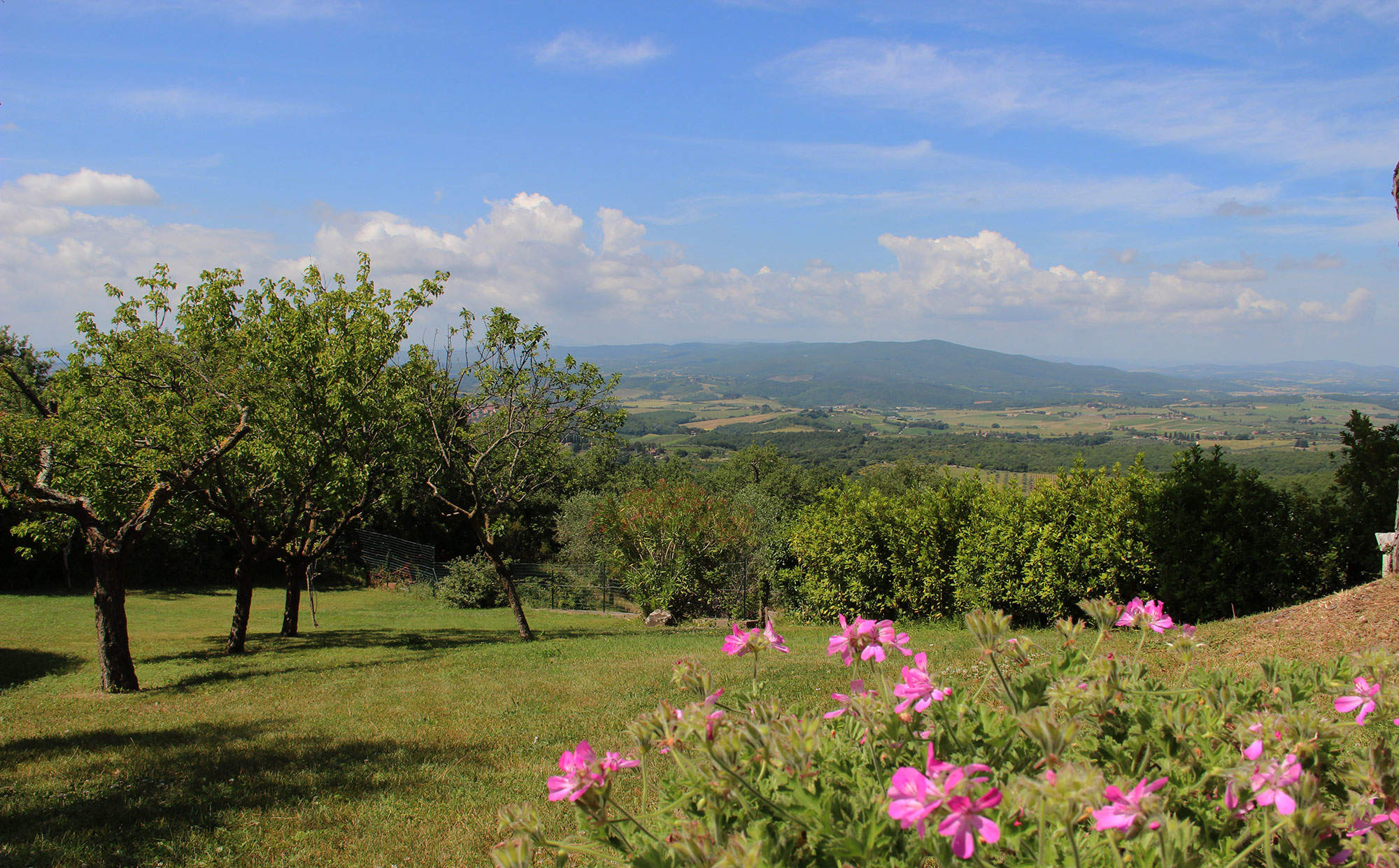 Ref 202 Villa Castelnuovo Berardenga, 7 bedroom villa in Chianti & Countryside, Tuscany