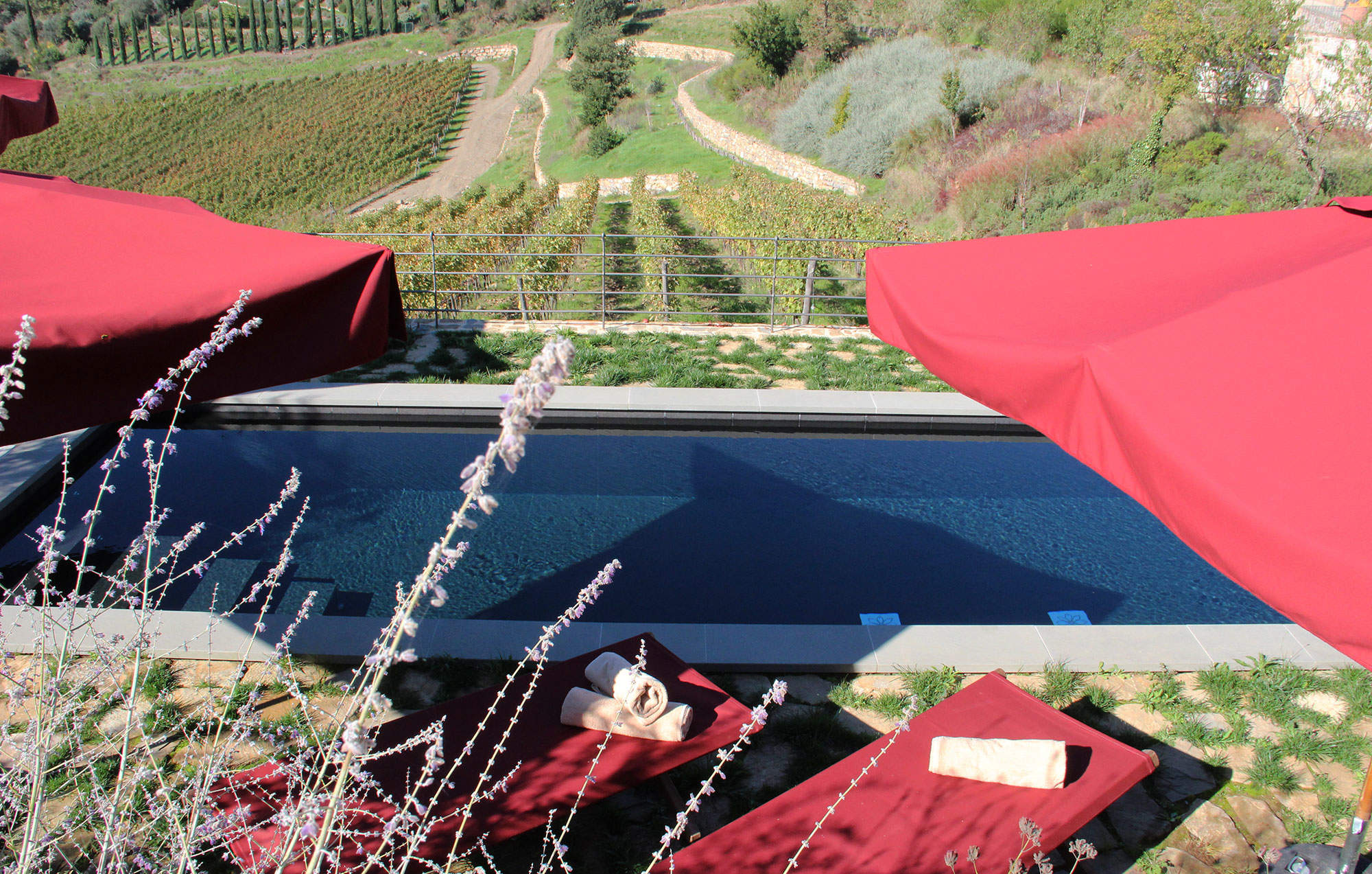 Villa San Martino, 7 bedroom villa in Chianti & Countryside, Tuscany