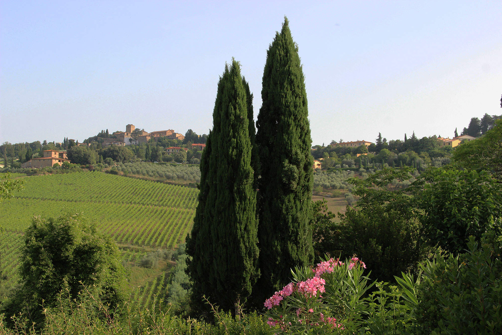 Casa Ferruzi 4, 2 bedroom apartment in Chianti & Countryside, Tuscany