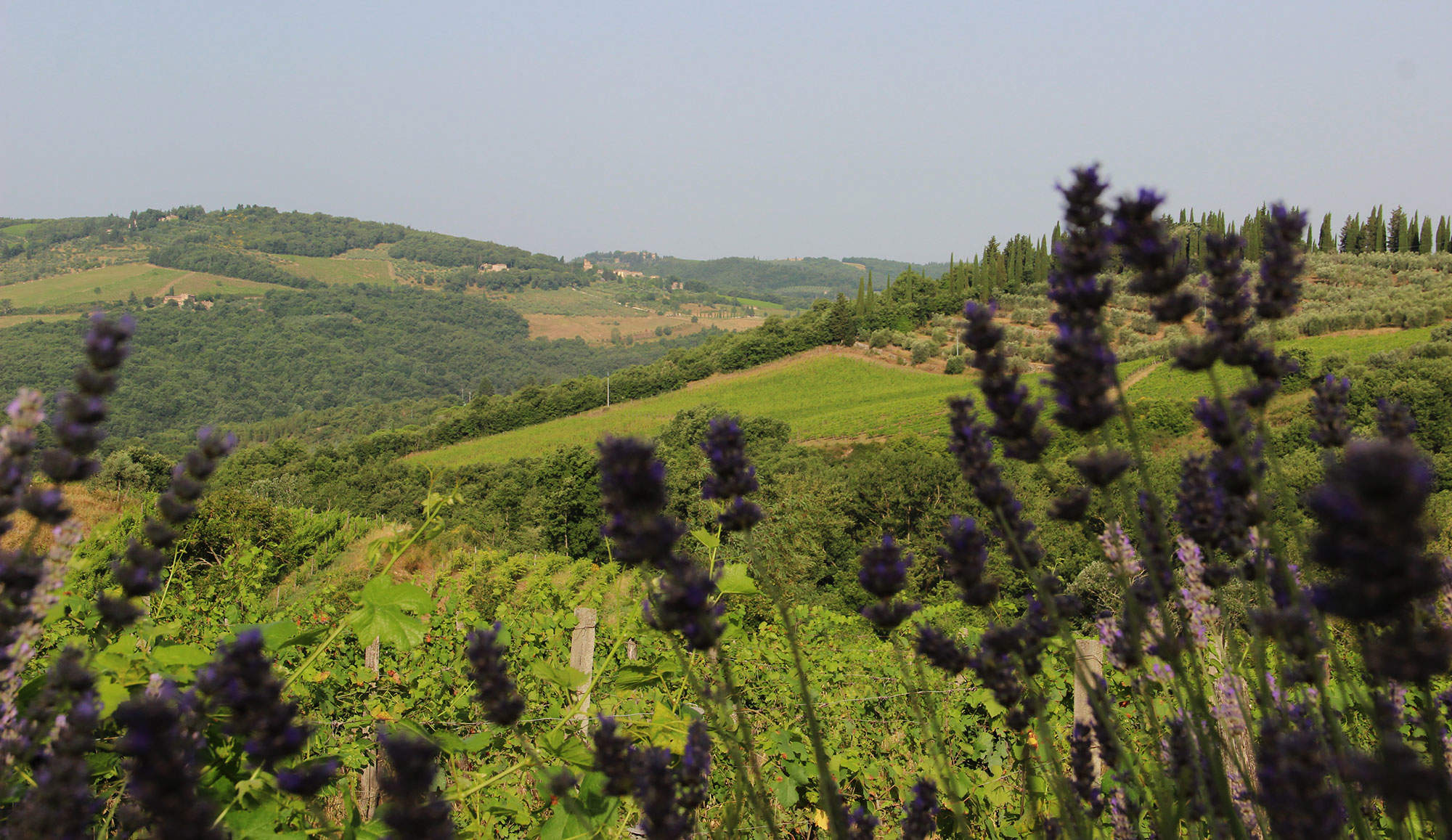 Casa Ferruzi 4, 2 bedroom apartment in Chianti & Countryside, Tuscany