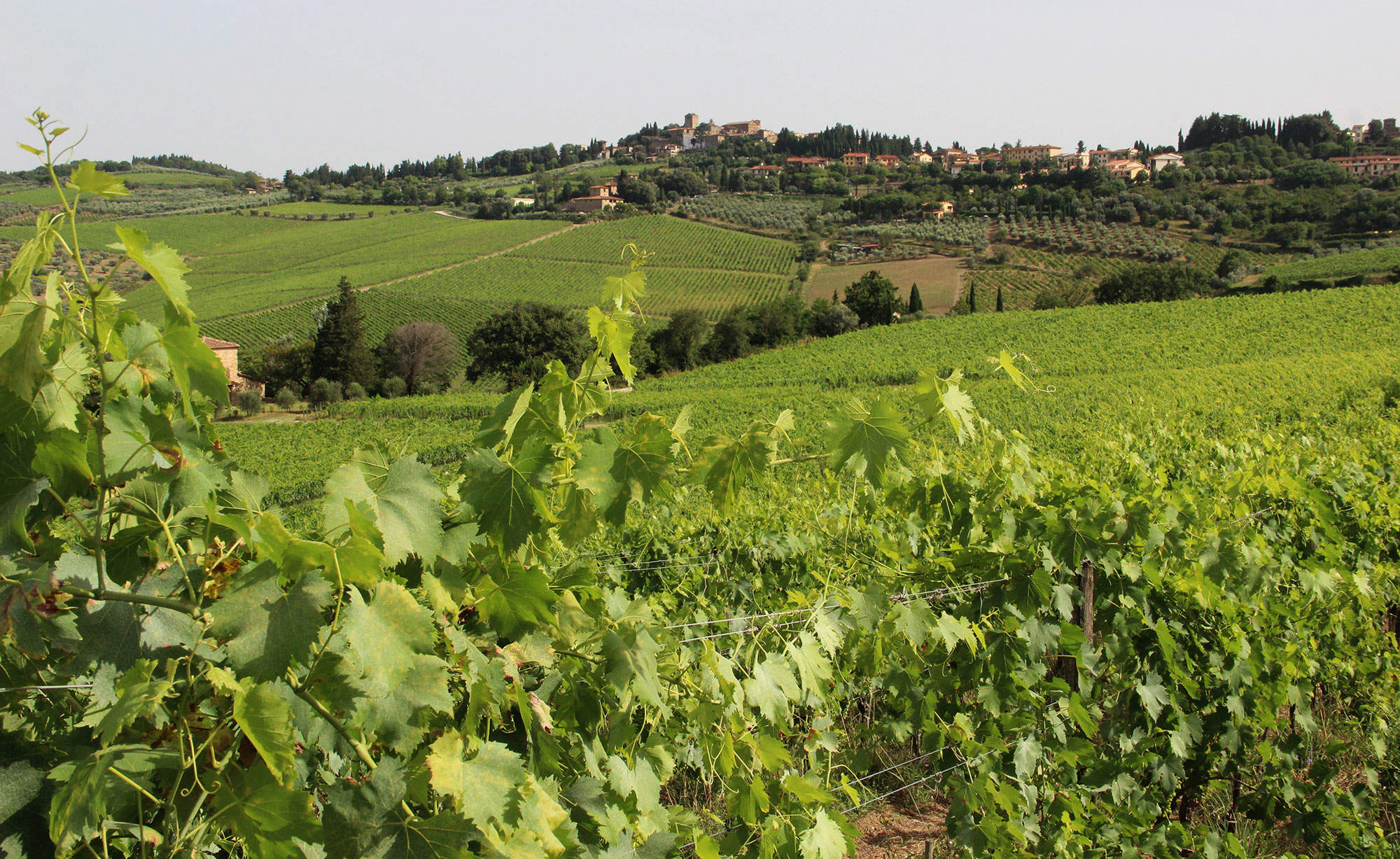 Casa Ferruzi 4, 2 bedroom apartment in Chianti & Countryside, Tuscany