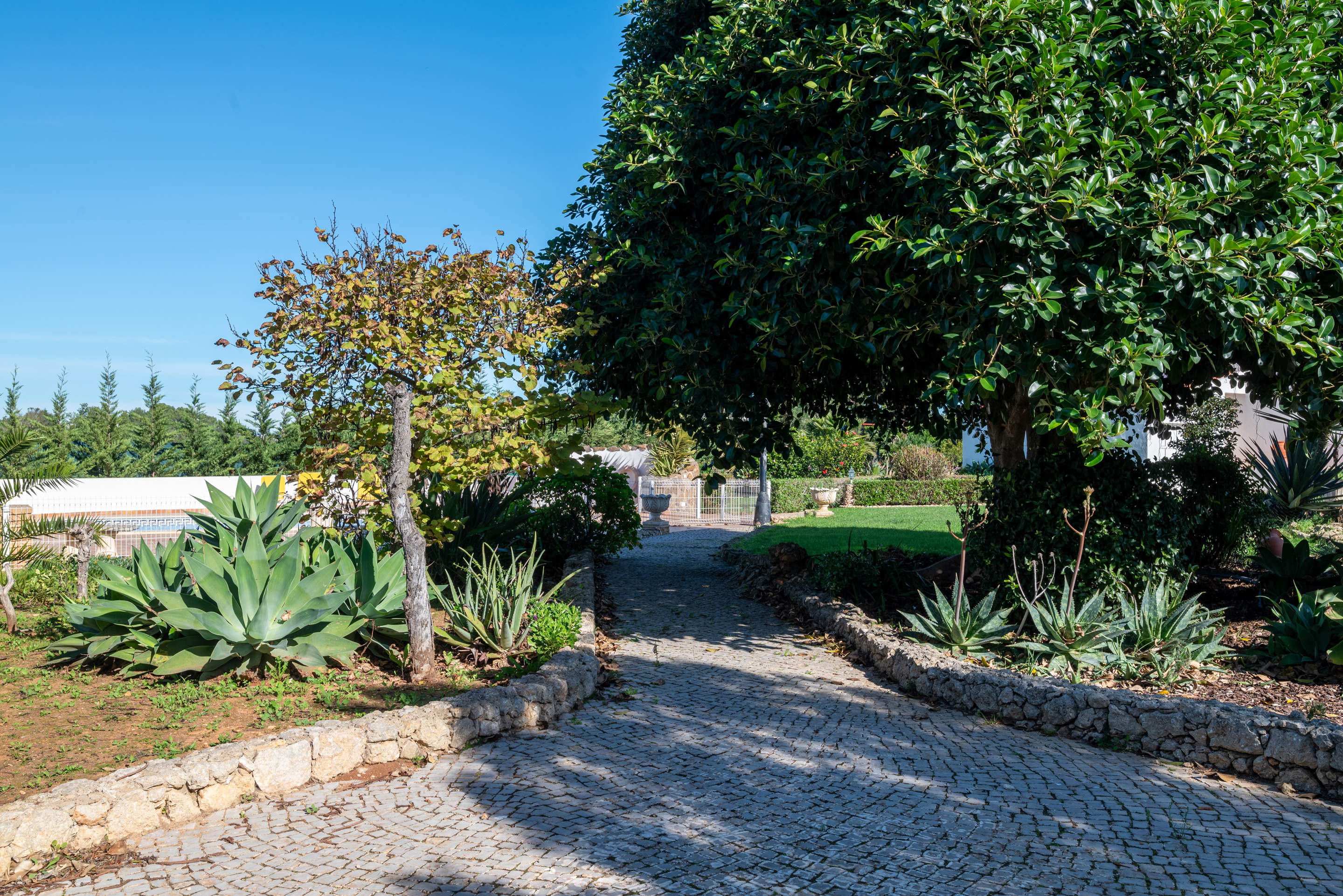 Villla Tamara, 4 bedroom villa in Carvoeiro Area, Algarve