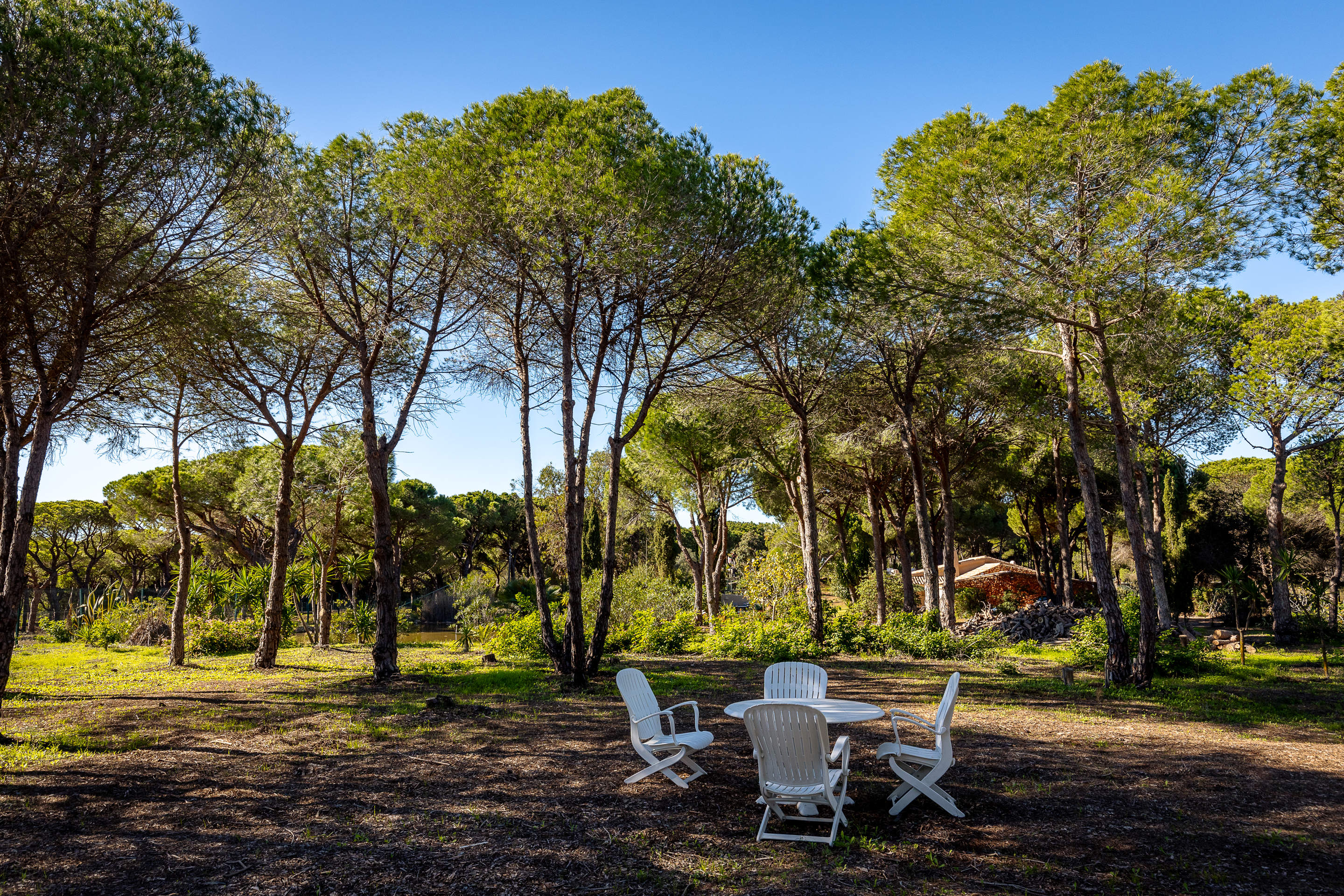 Casa Favorita, 4 bedroom villa in Vale do Lobo, Algarve