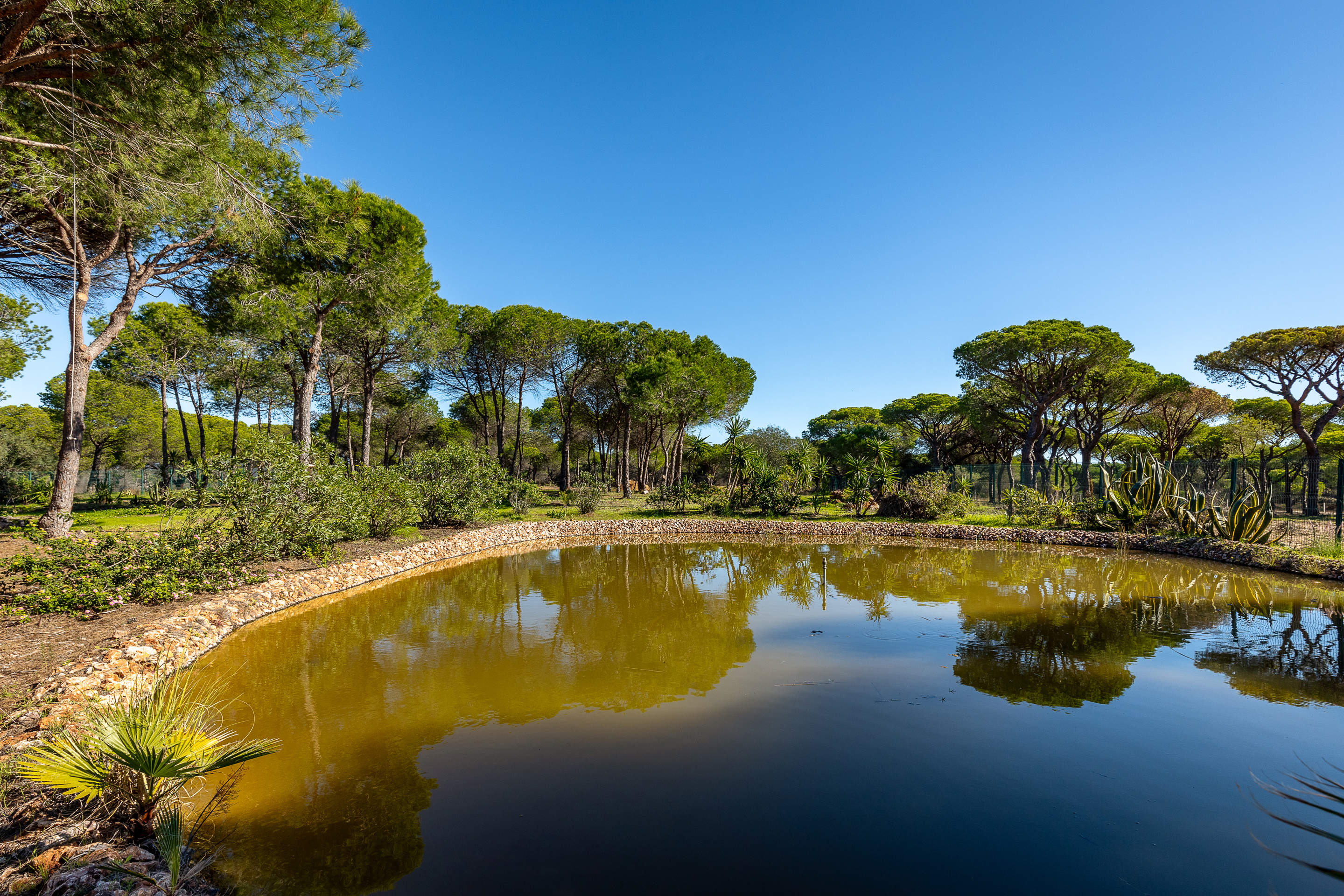 Casa Favorita, 4 bedroom villa in Vale do Lobo, Algarve