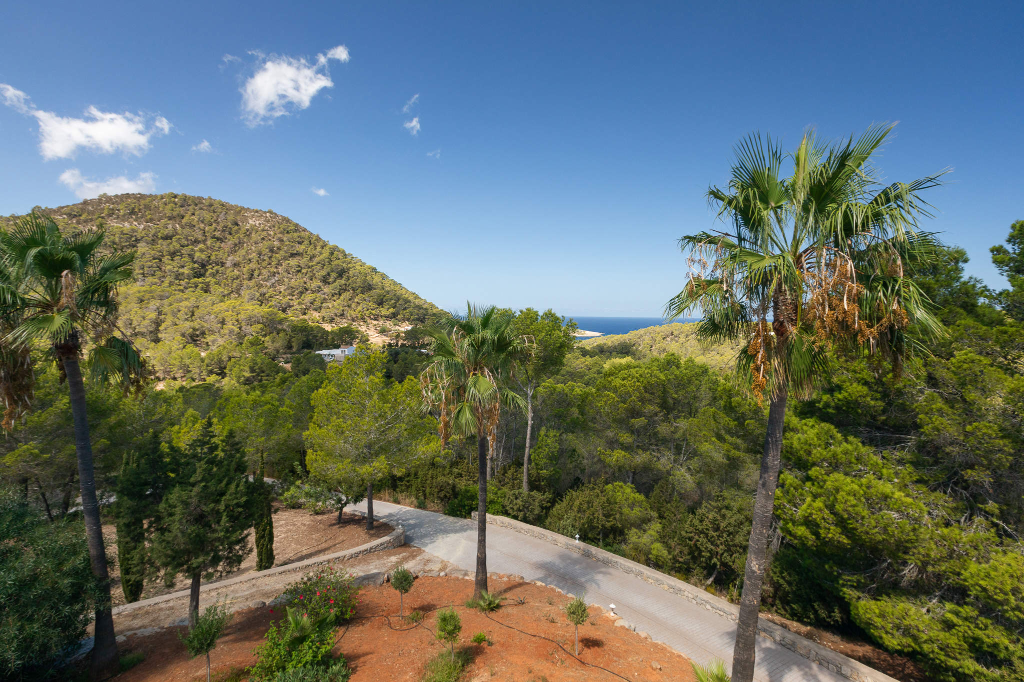 Sa Bassa Villa, 4 bedroom villa in Inland Villages &  North Coast, Ibiza