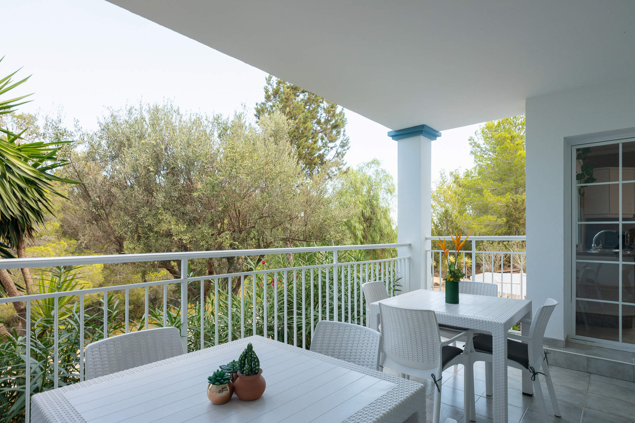 Sa Bassa Villa, 4 bedroom villa in Inland Villages &  North Coast, Ibiza