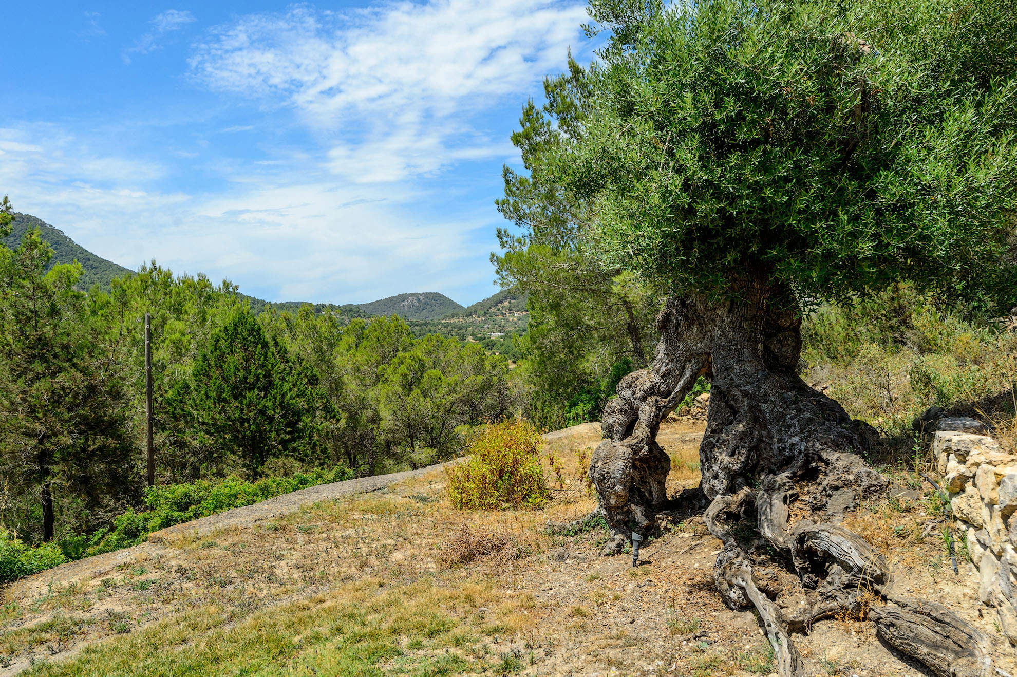 Can Rafalet, 5 bedroom villa in San Jose and South West Coast, Ibiza