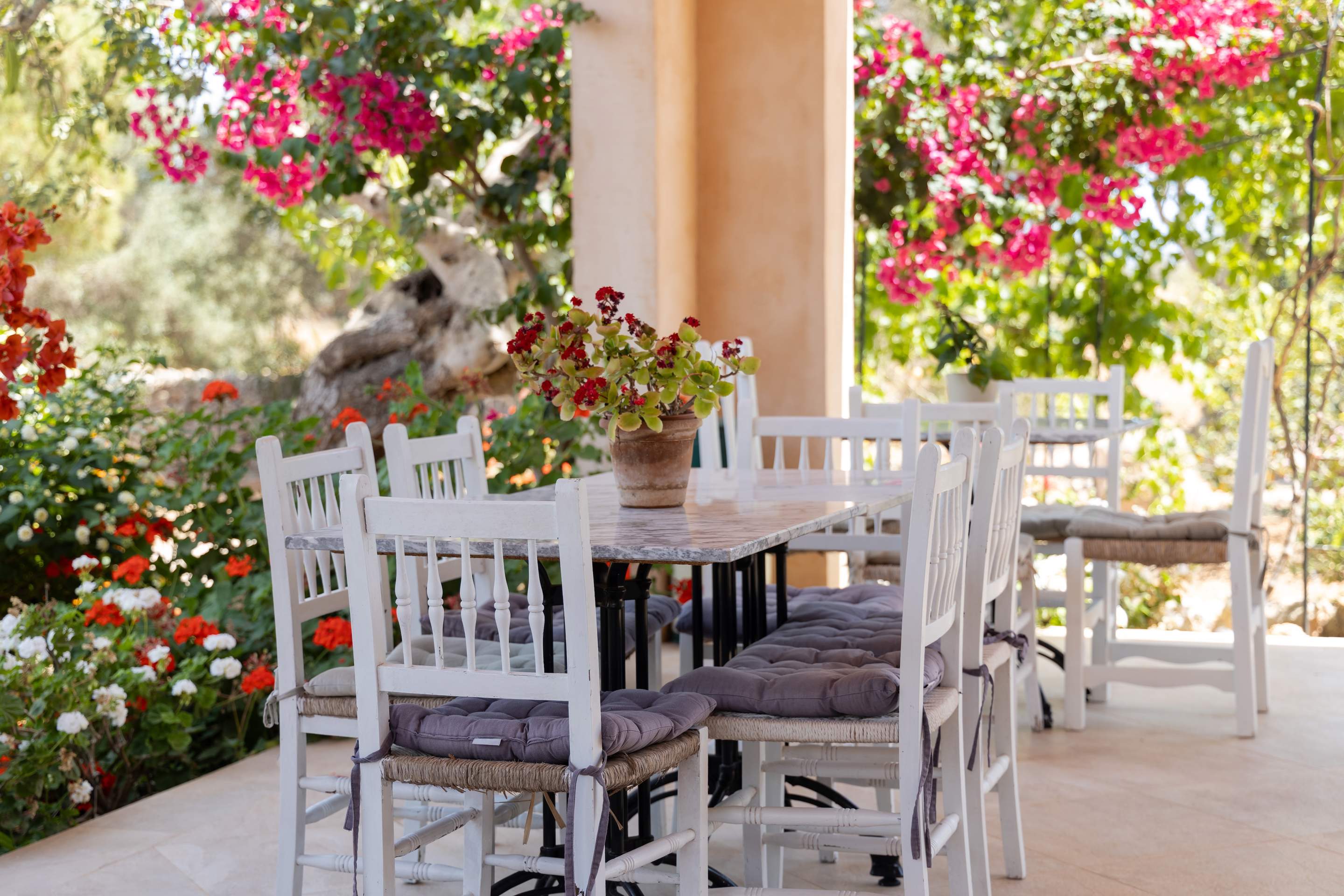 Finca Sea and Sky Migjorn, 1 bedroom villa in Cala d'Or , Majorca