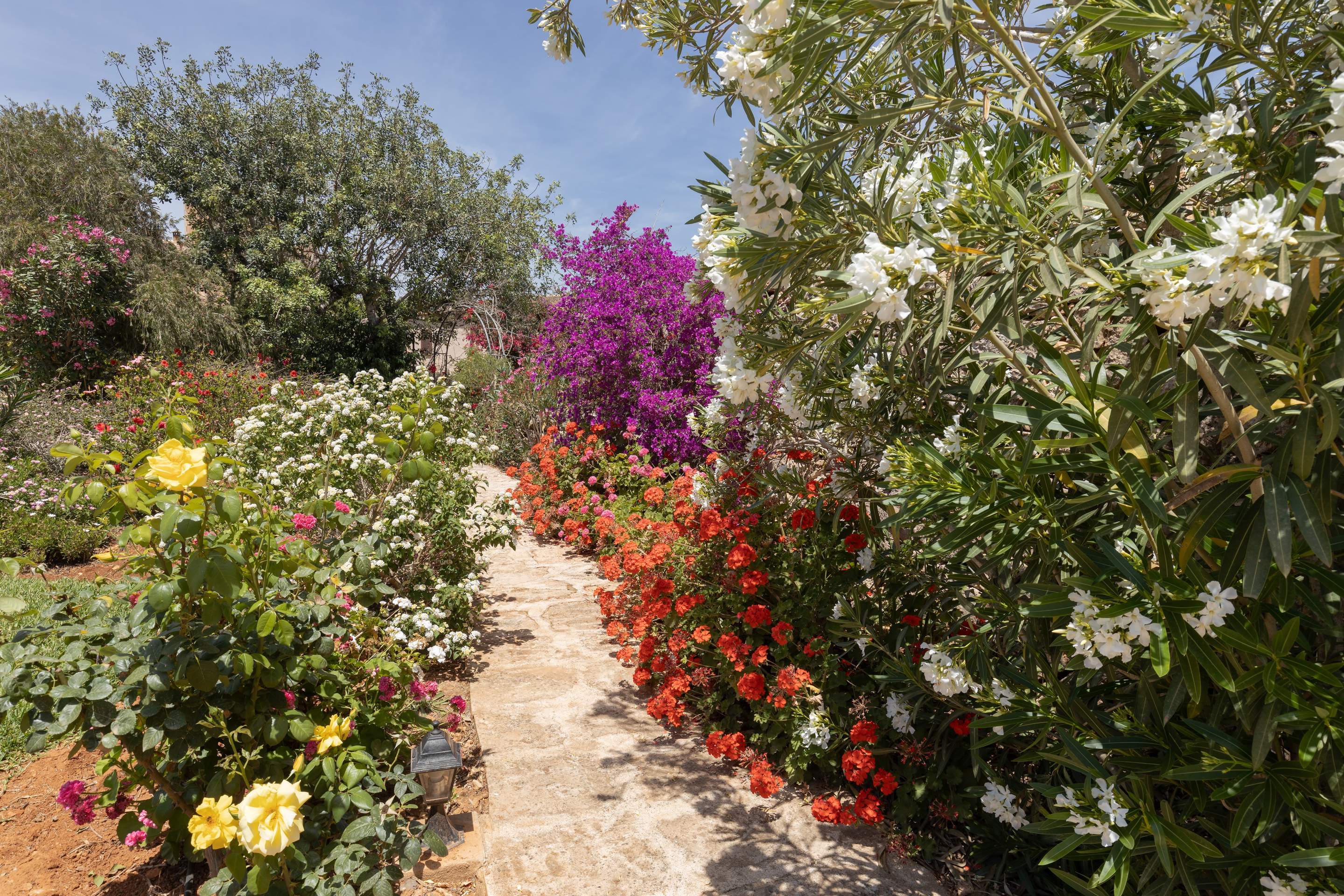 Finca Sea and Sky Llevant, 1 bedroom villa in Cala d'Or , Majorca