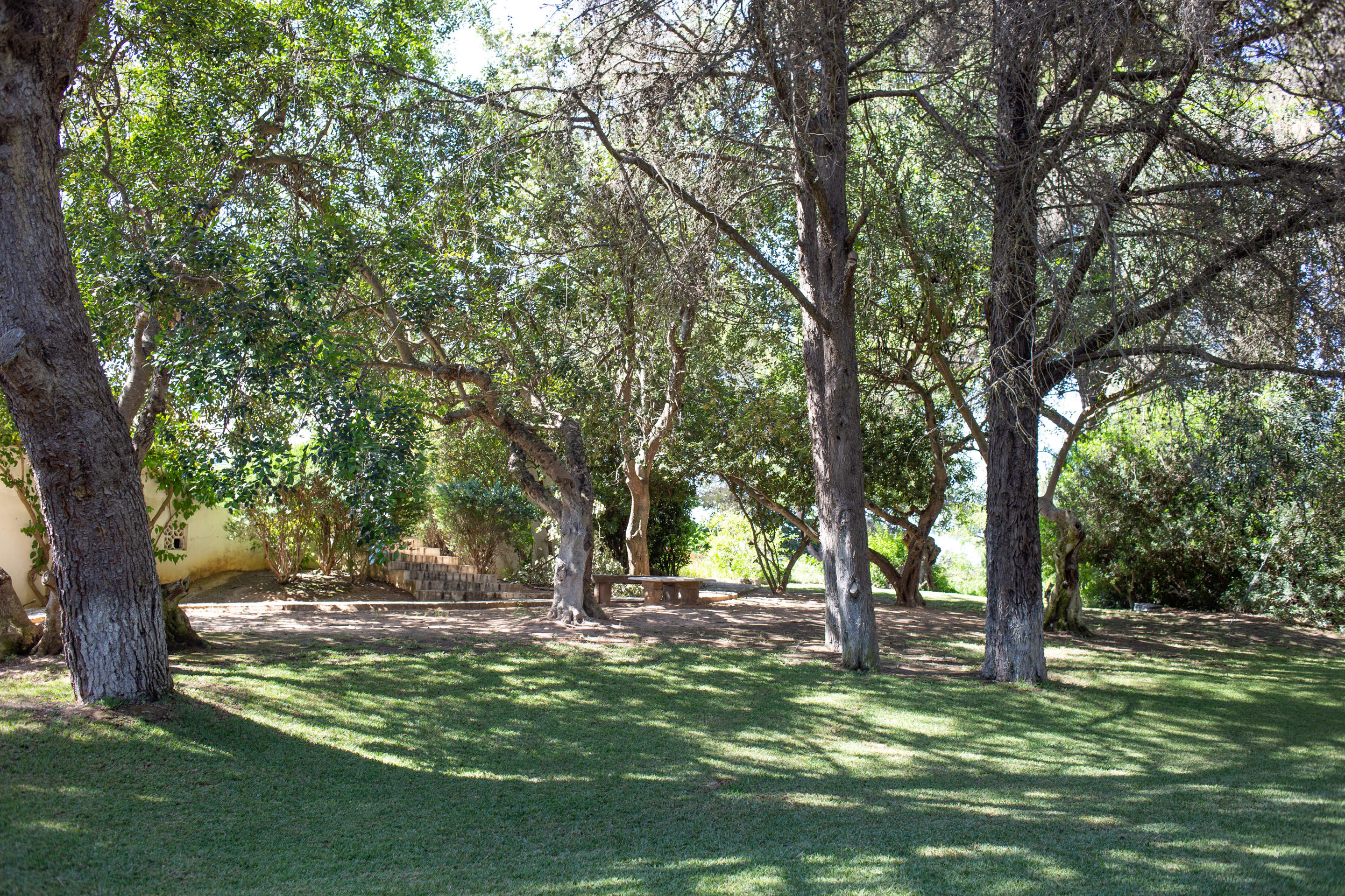 Villa Ciprestes, 5 bedroom villa in Carvoeiro Area, Algarve