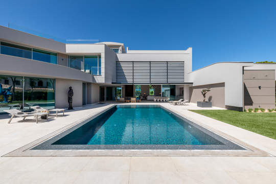 The Cork Tree Main Photo