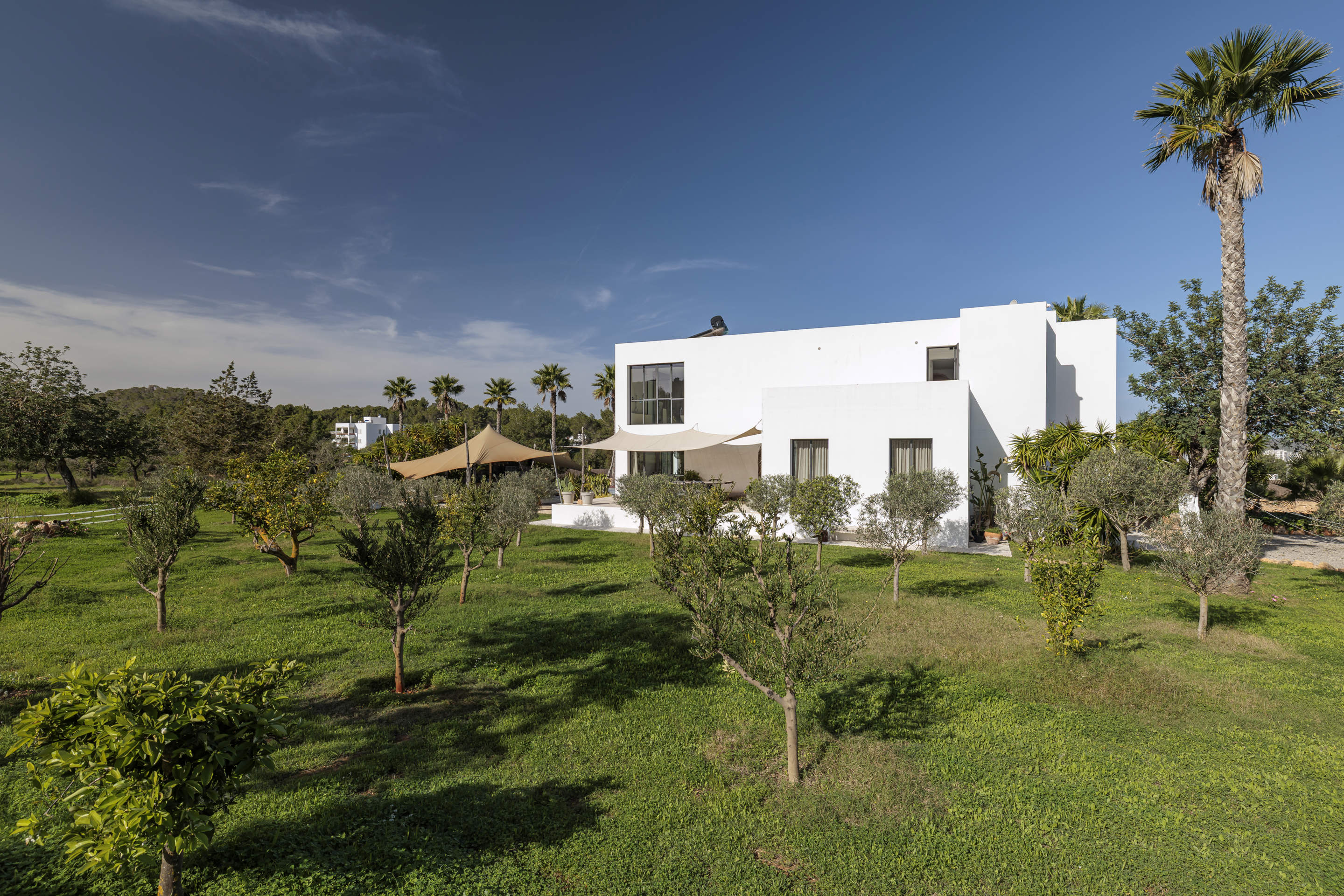 Can Love, 4 bedroom villa in San Jose and South West Coast, Ibiza
